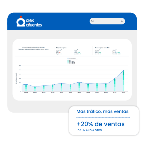 Resultados SEO en un ecommerce después de un año de trabajo